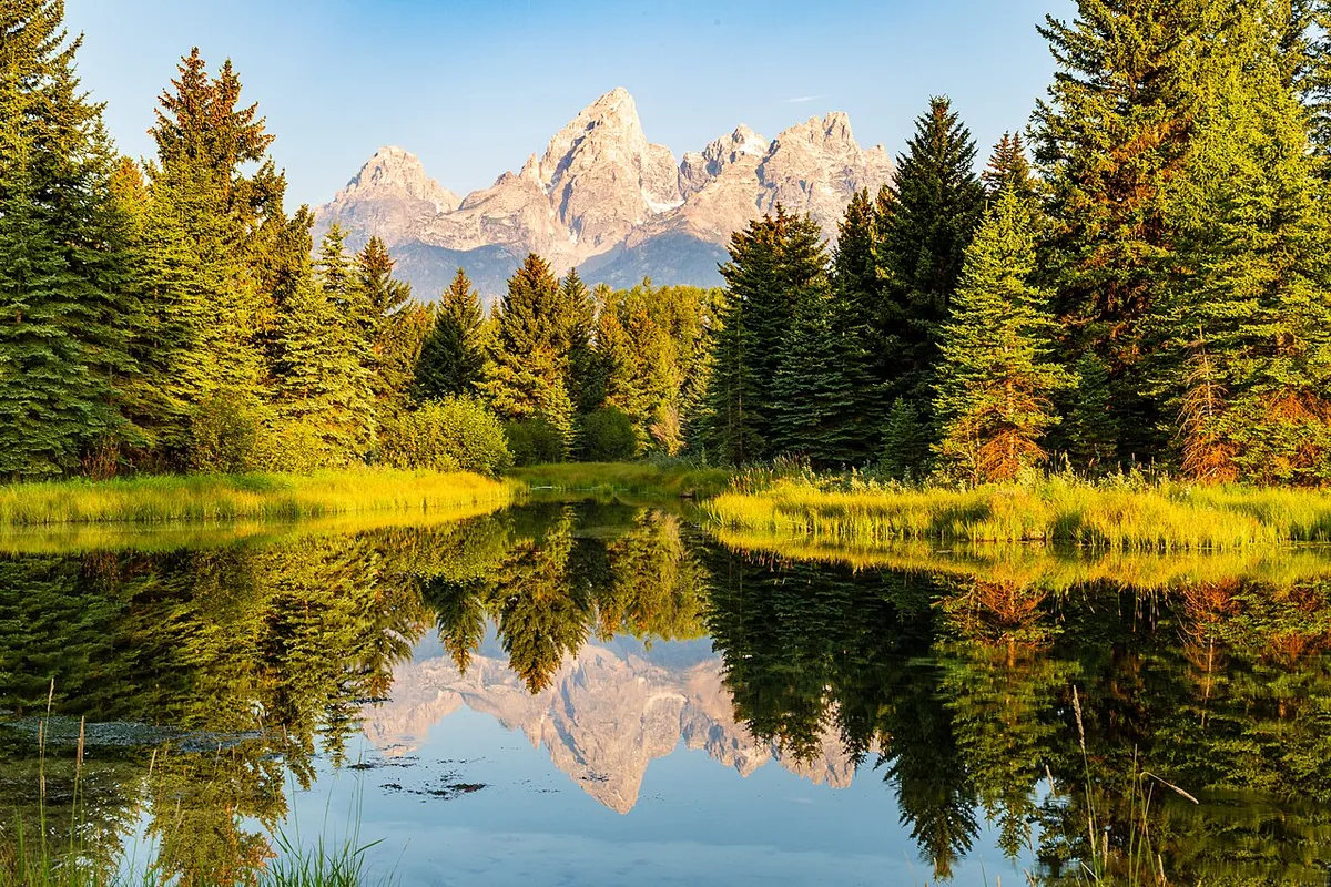 Grand Teton reflected in still water at Schwabacher Landing at dawn