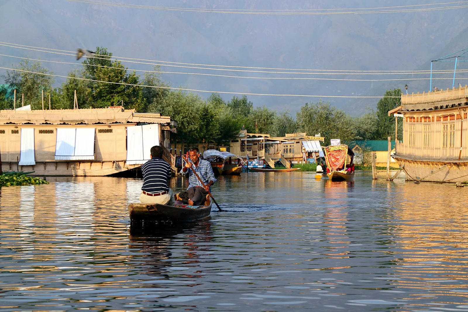 A shikara being rowed past moored houseboats on Dal Lake, Srinagar