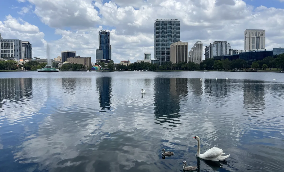 Downtown Orlando skyline reflected in Lake Eola, with swans near the shore and the lake fountain in the distance