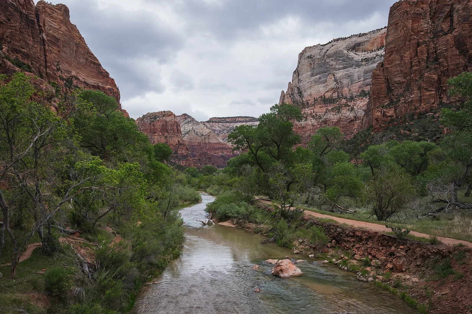 The Virgin River flowing through Zion Canyon between red rock walls and cottonwood trees
